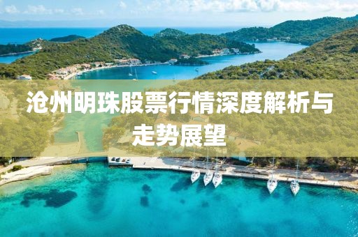 滄州明珠股票行情深度解析與走勢(shì)展望