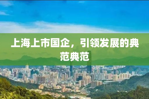 上海上市國(guó)企，引領(lǐng)發(fā)展的典范典范