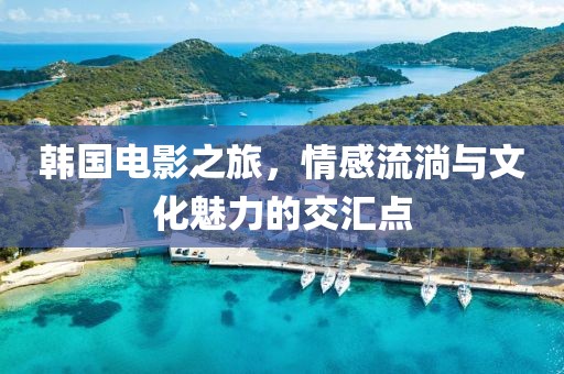 韓國電影之旅，情感流淌與文化魅力的交匯點