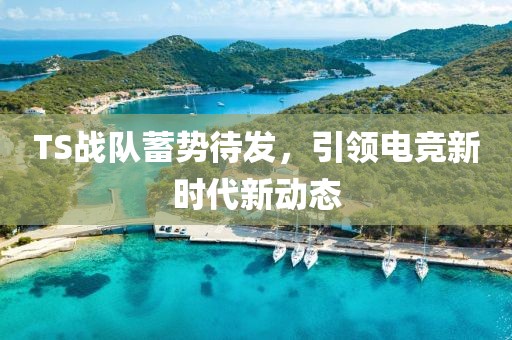 TS戰(zhàn)隊(duì)蓄勢待發(fā)，引領(lǐng)電競新時(shí)代新動(dòng)態(tài)