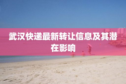 武漢快遞最新轉(zhuǎn)讓信息及其潛在影響