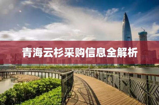 青海云杉采購信息全解析