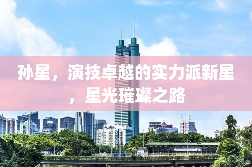 孫星，演技卓越的實(shí)力派新星，星光璀璨之路