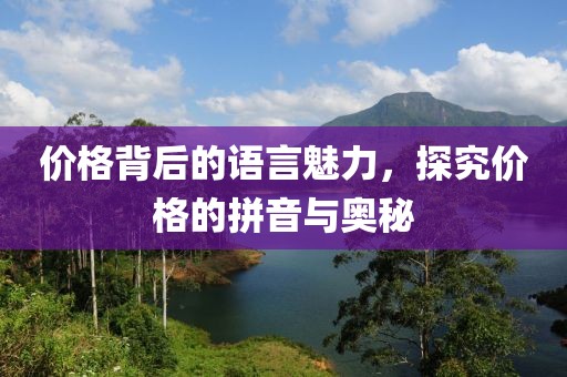 價格背后的語言魅力，探究價格的拼音與奧秘