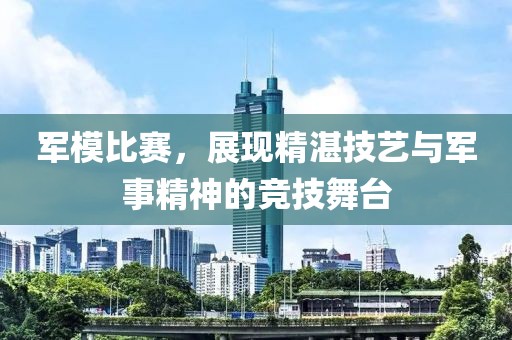 軍模比賽，展現(xiàn)精湛技藝與軍事精神的競技舞臺