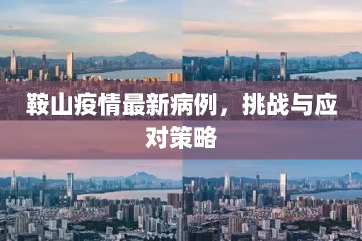 鞍山疫情最新病例，挑戰(zhàn)與應(yīng)對策略