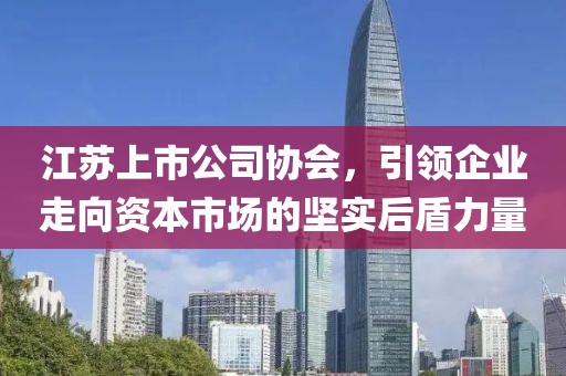江蘇上市公司協(xié)會(huì)，引領(lǐng)企業(yè)走向資本市場的堅(jiān)實(shí)后盾力量