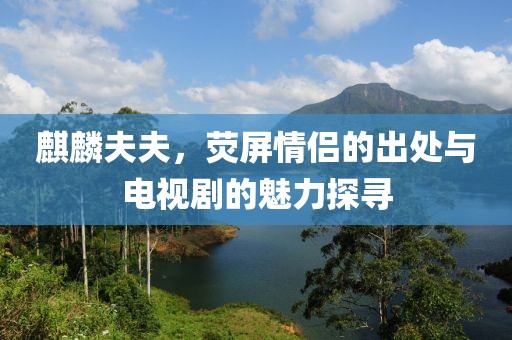 麒麟夫夫，熒屏情侶的出處與電視劇的魅力探尋