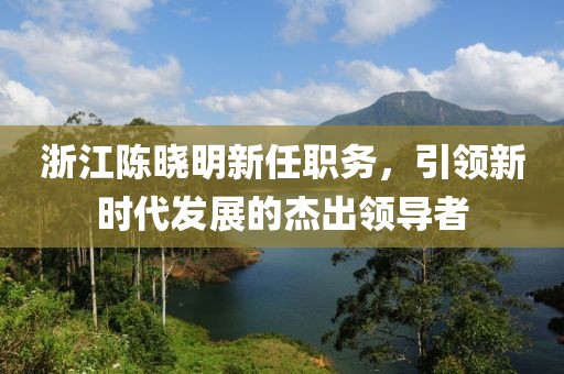 浙江陳曉明新任職務，引領新時代發(fā)展的杰出領導者