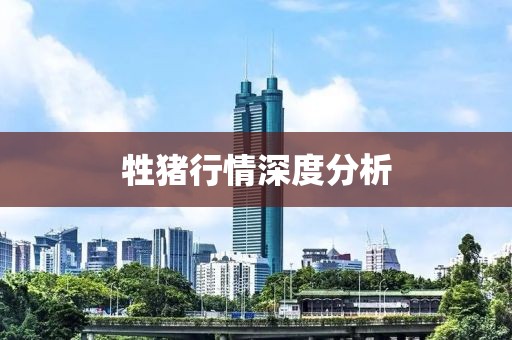 牲豬行情深度分析