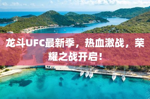 龍斗UFC最新季，熱血激戰(zhàn)，榮耀之戰(zhàn)開(kāi)啟！