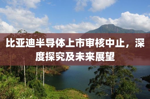 比亞迪半導(dǎo)體上市審核中止，深度探究及未來展望