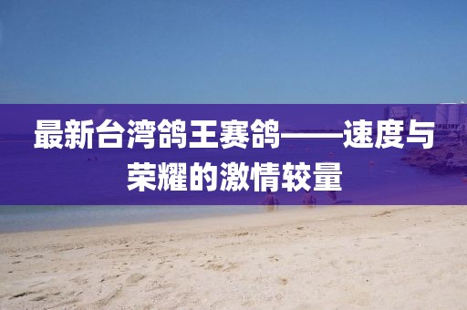 最新臺(tái)灣鴿王賽鴿——速度與榮耀的激情較量