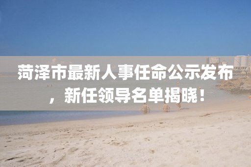 菏澤市最新人事任命公示發(fā)布，新任領(lǐng)導(dǎo)名單揭曉！