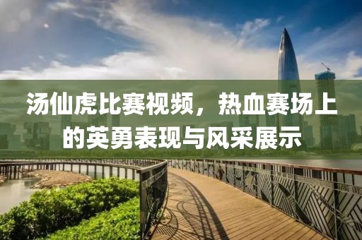 湯仙虎比賽視頻，熱血賽場上的英勇表現(xiàn)與風(fēng)采展示