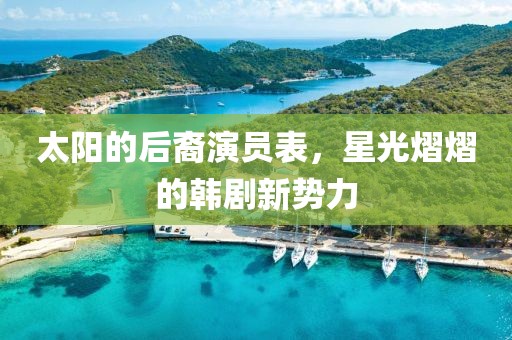 太陽的后裔演員表，星光熠熠的韓劇新勢力