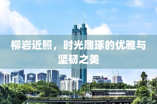 柳巖近照，時光雕琢的優(yōu)雅與堅韌之美