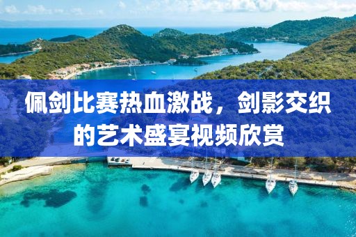 佩劍比賽熱血激戰(zhàn)，劍影交織的藝術盛宴視頻欣賞