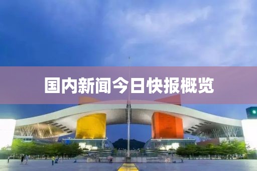 國內(nèi)新聞今日快報概覽