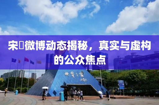 宋喆微博動態(tài)揭秘，真實與虛構(gòu)的公眾焦點