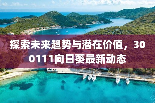 探索未來趨勢與潛在價值，300111向日葵最新動態(tài)