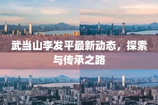 武當(dāng)山李發(fā)平最新動態(tài)，探索與傳承之路