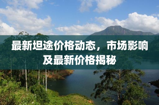 最新坦途價格動態(tài)，市場影響及最新價格揭秘