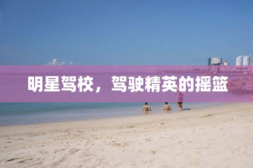 明星駕校，駕駛精英的搖籃