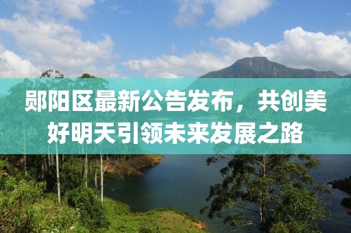 鄖陽區(qū)最新公告發(fā)布，共創(chuàng)美好明天引領(lǐng)未來發(fā)展之路