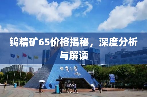 鎢精礦65價格揭秘，深度分析與解讀