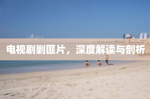 電視劇剿匪片，深度解讀與剖析