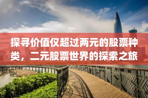 探尋價(jià)值僅超過兩元的股票種類，二元股票世界的探索之旅