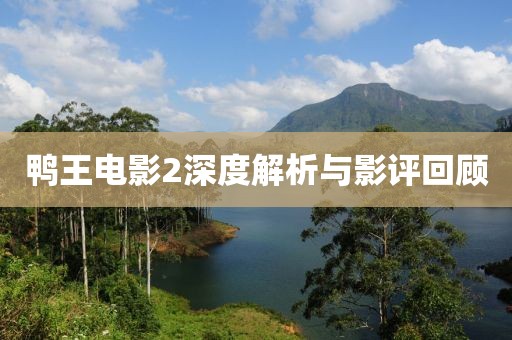 鴨王電影2深度解析與影評(píng)回顧