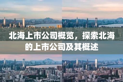 北海上市公司概覽，探索北海的上市公司及其概述