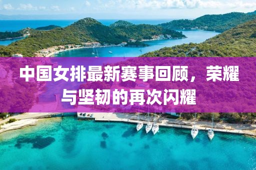 中國女排最新賽事回顧，榮耀與堅(jiān)韌的再次閃耀