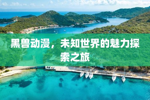 黑獸動(dòng)漫，未知世界的魅力探索之旅