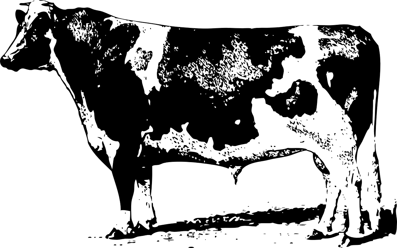 新聞資訊 第674頁