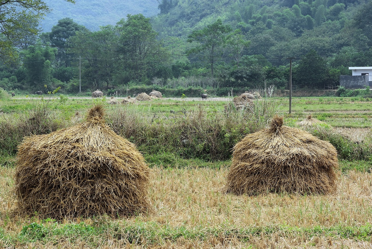思瑞浦動(dòng)態(tài)，科技創(chuàng)新的先鋒引領(lǐng)者