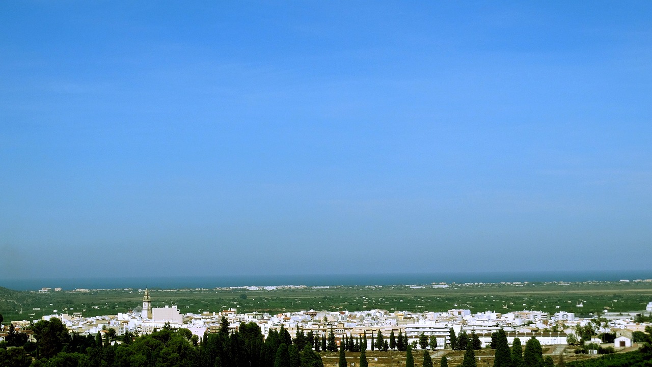 檳榔價格行情深度分析，市場動態(tài)與趨勢預測