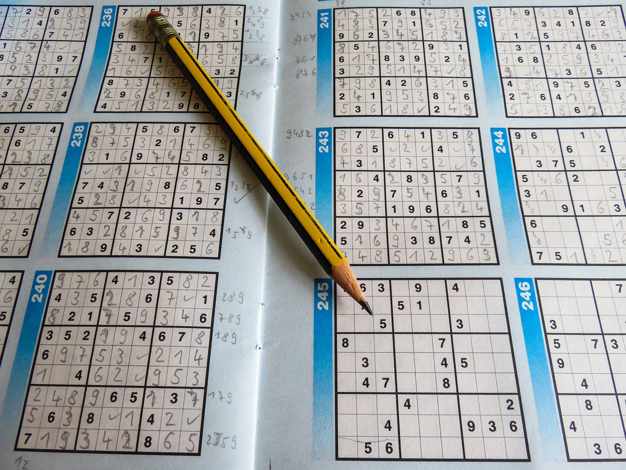 全國(guó)中小學(xué)數(shù)獨(dú)比賽，智慧挑戰(zhàn)，風(fēng)采展現(xiàn)