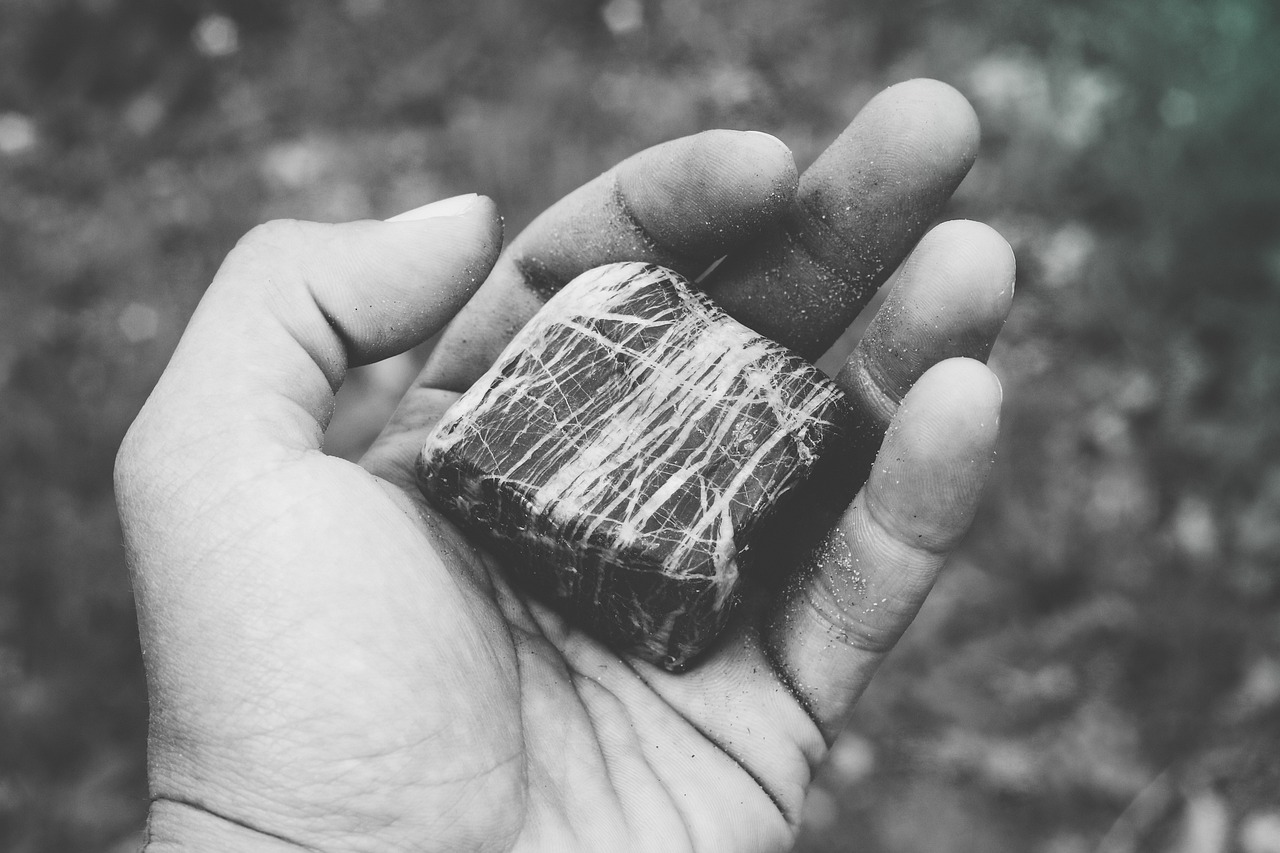 多囊腎病新進(jìn)展，突破與挑戰(zhàn)的未來探索之路