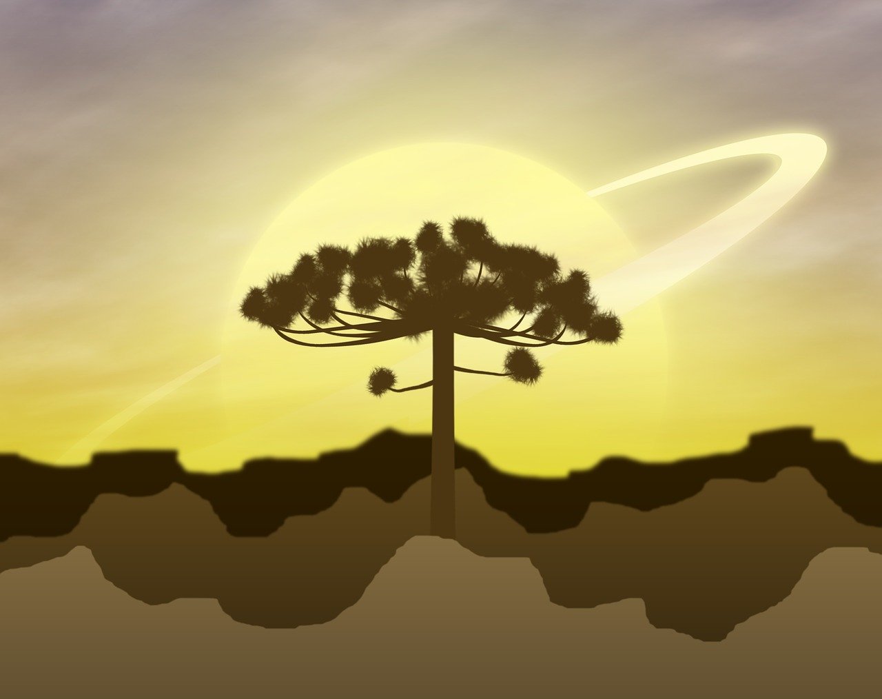 白熊動漫，奇幻之旅，探索魅力世界的無限魅力