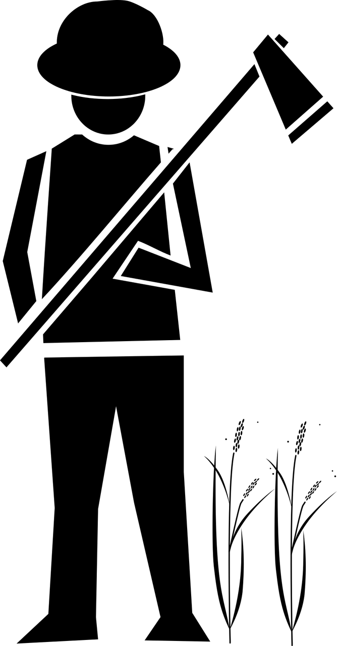 農(nóng)業(yè)科技崛起與未來展望，超級農(nóng)民的最新章節(jié)展望