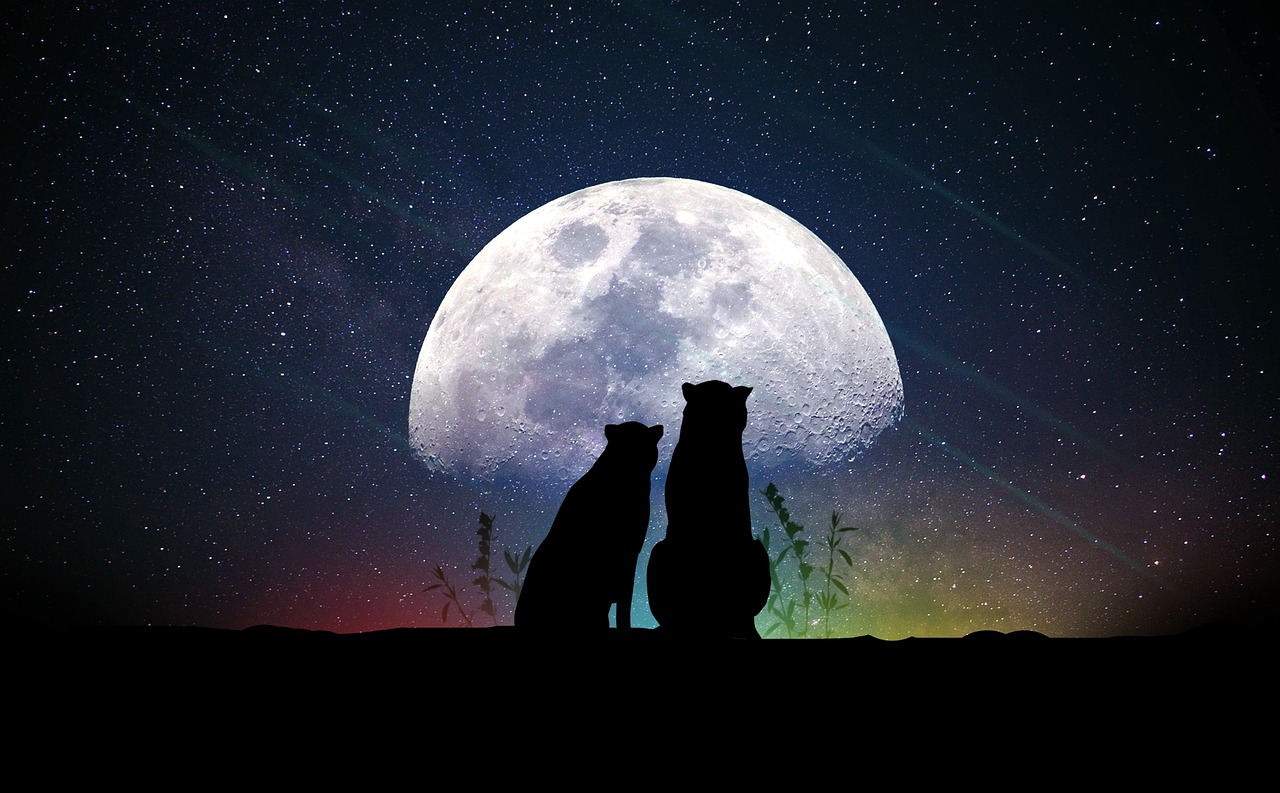 星夜 第15頁