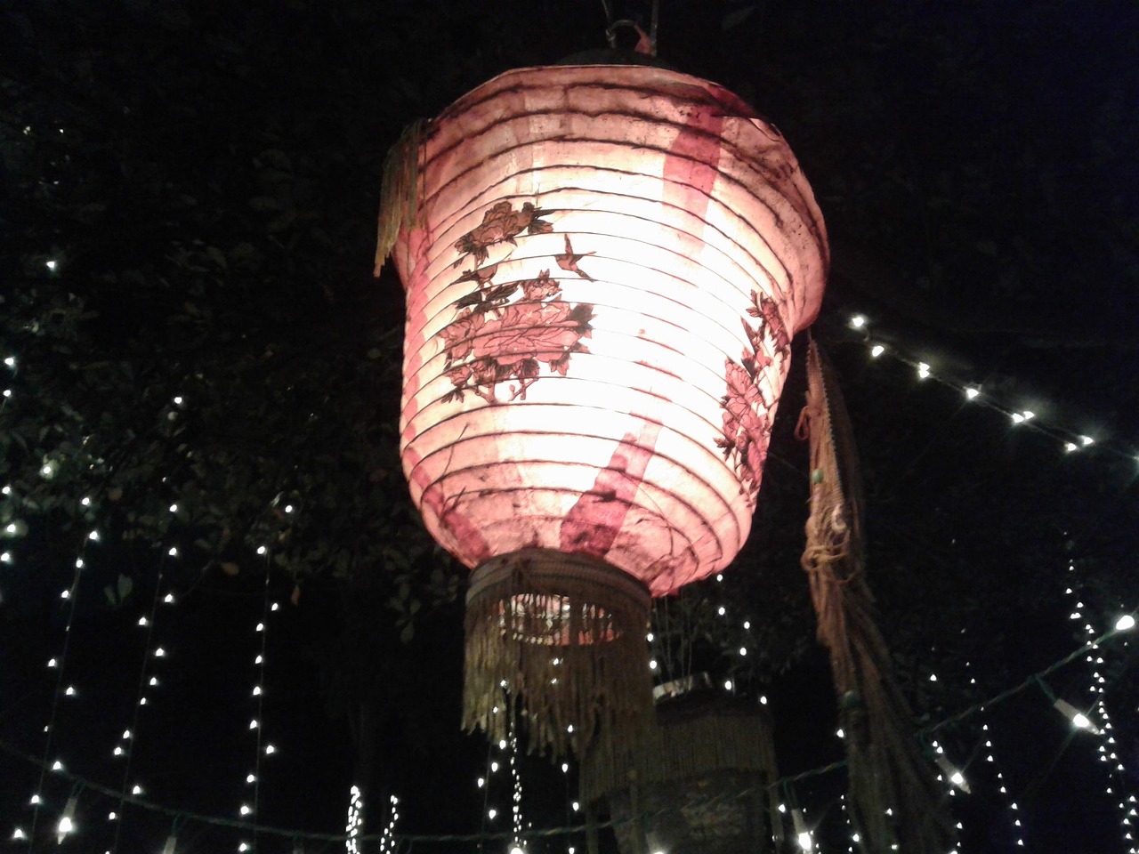 電影過年，傳統(tǒng)與現(xiàn)代交織的情感盛宴之夜