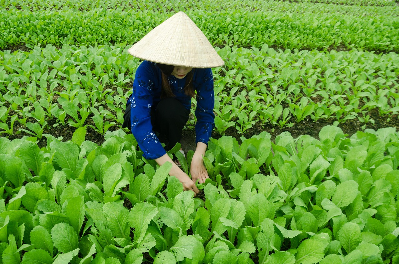 務(wù)川動態(tài)，探索與發(fā)展并進(jìn)的步伐