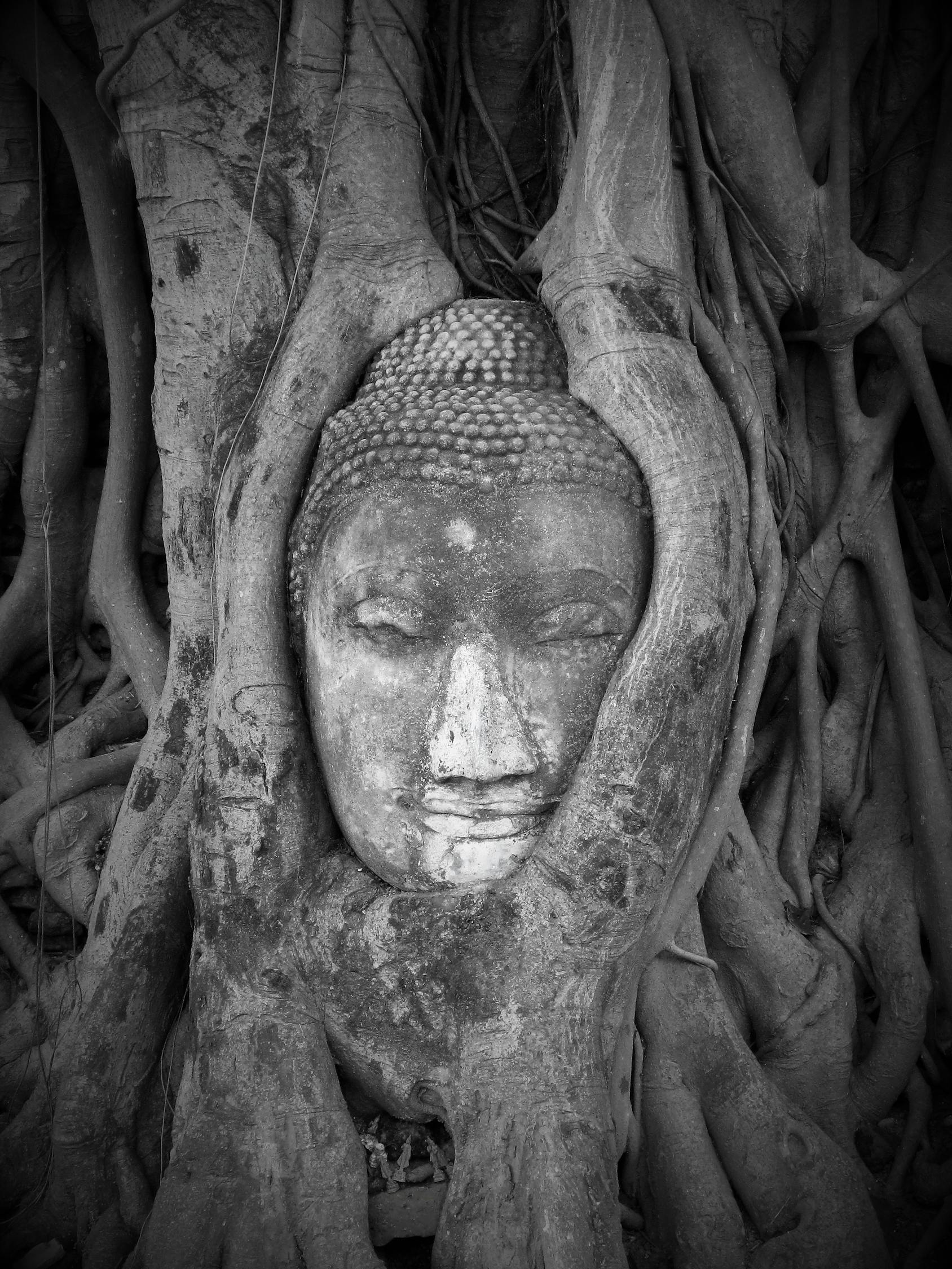 黑白動漫頭像的魅力，藝術(shù)世界的交織之美