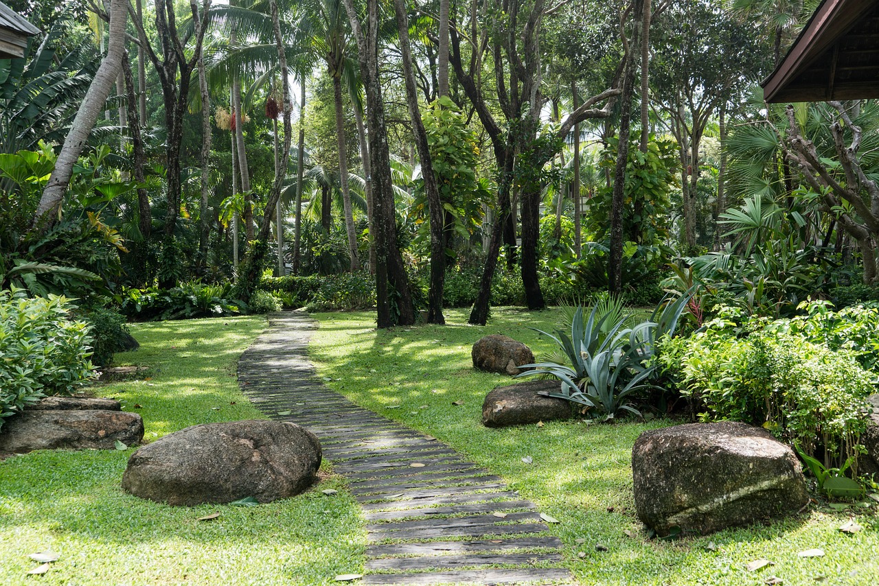 長(zhǎng)興島郊野公園門票價(jià)格詳解及攻略