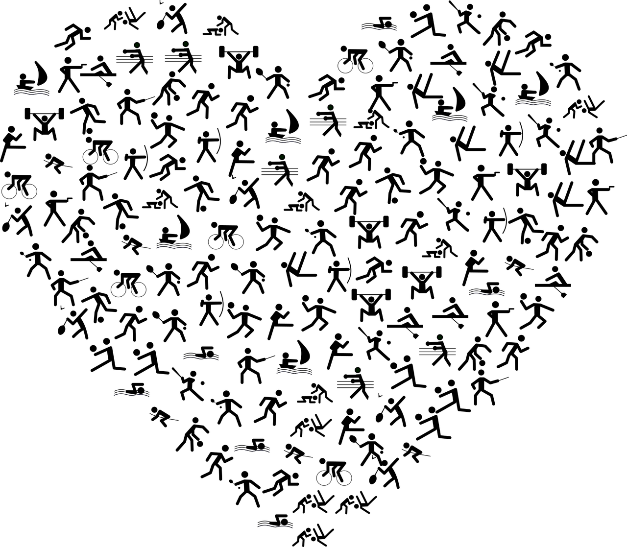 豐臺信鴿賽事動態(tài)，賽場激情與競技精神的探尋
