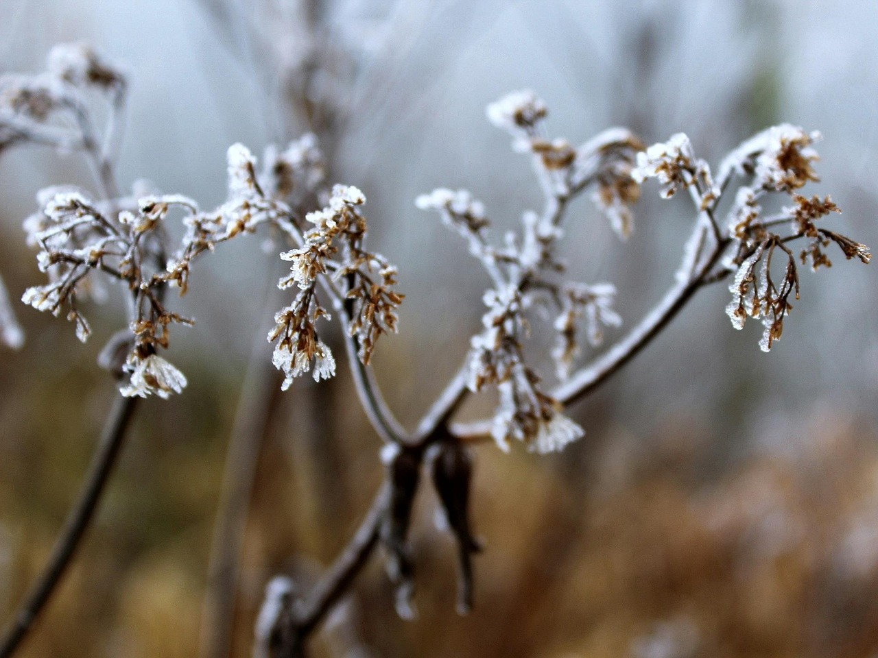 大雪冬至電影，溫情與深意的冬日篇章